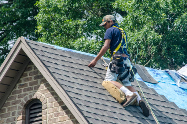 Best Roof Leak Repair  in Woodland, WA